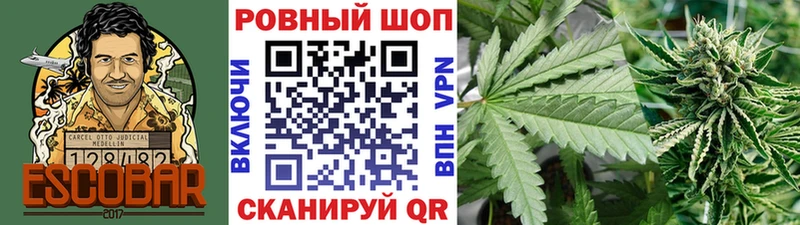 Codein Партизанск