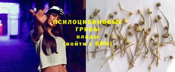 бошки Алзамай