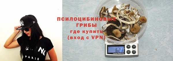спиды Абдулино