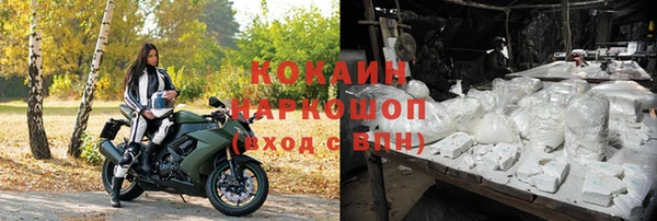 бошки Алзамай